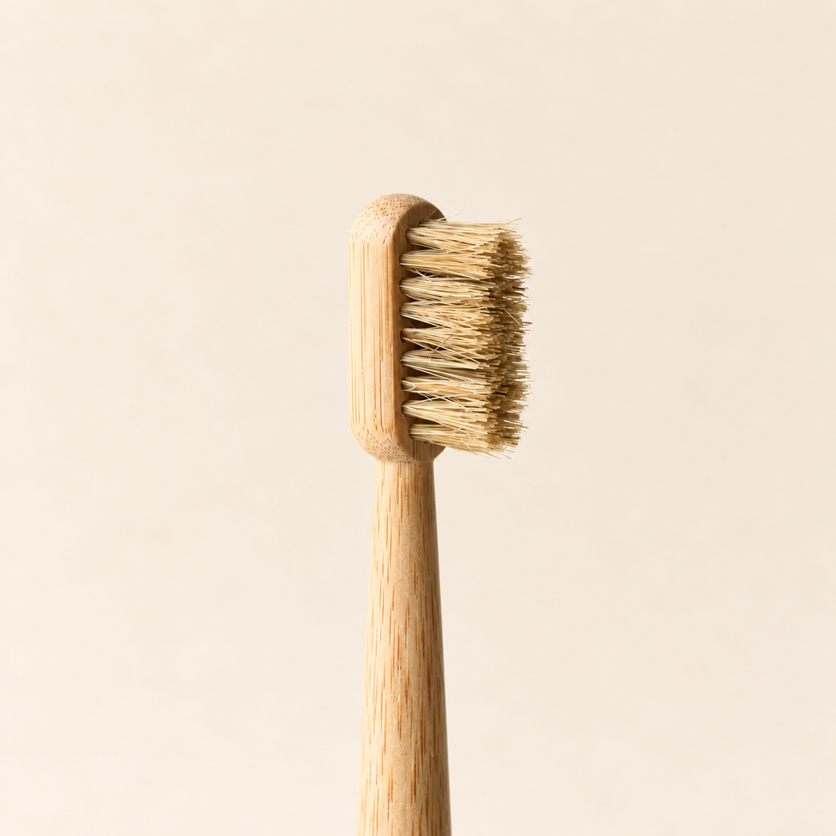 Boar Bristle and Bamboo Handle Toothbrush (4 Pack)